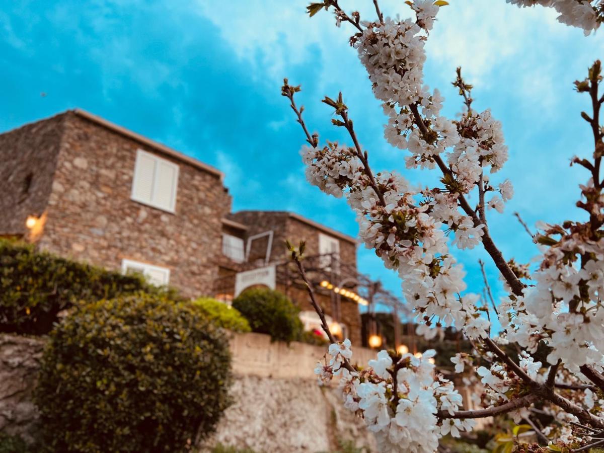 مبيت وإفطار ماسيناغو Casa Di Babbo المظهر الخارجي الصورة