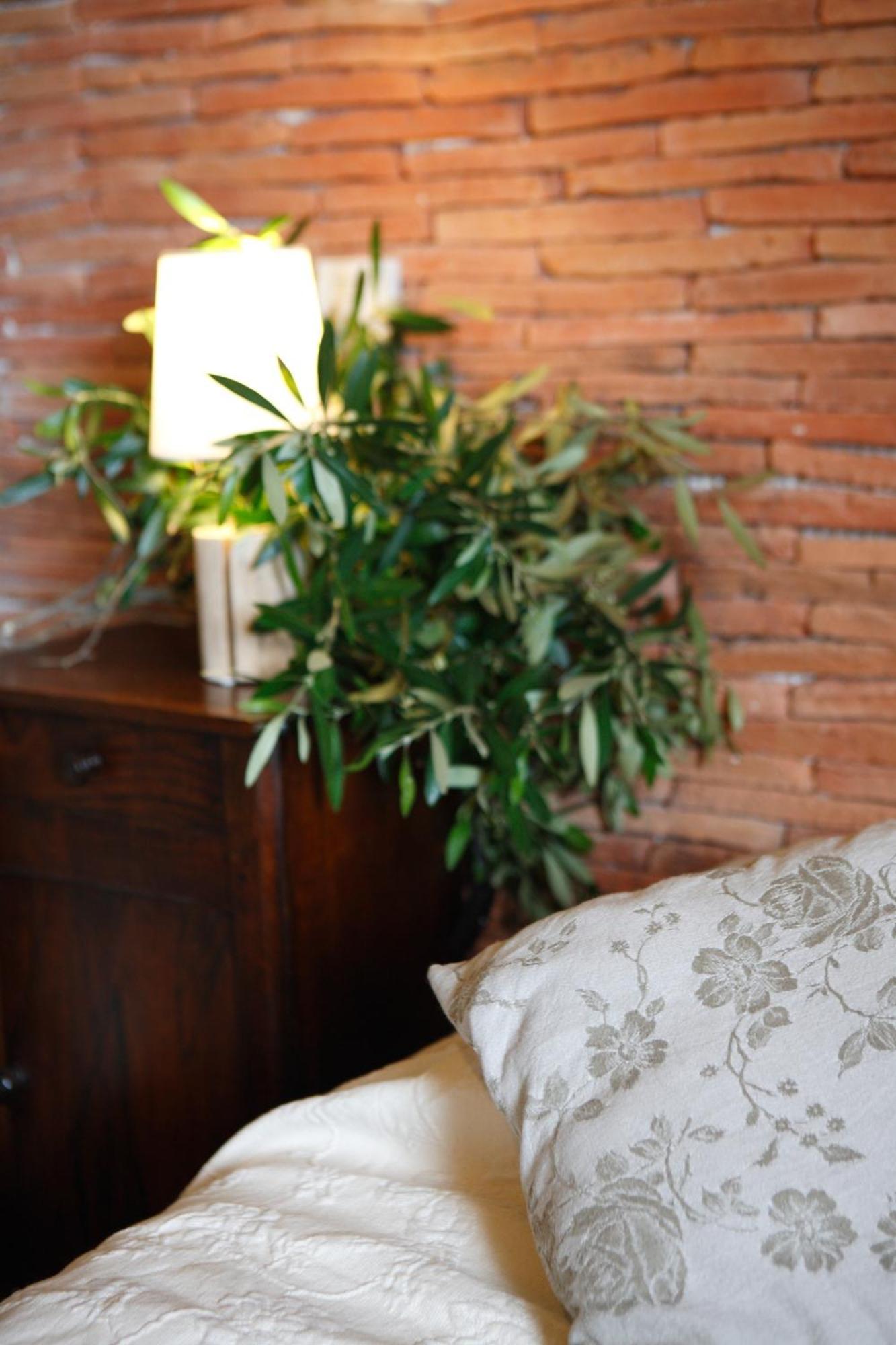 مبيت وإفطار ماسيناغو Casa Di Babbo المظهر الخارجي الصورة